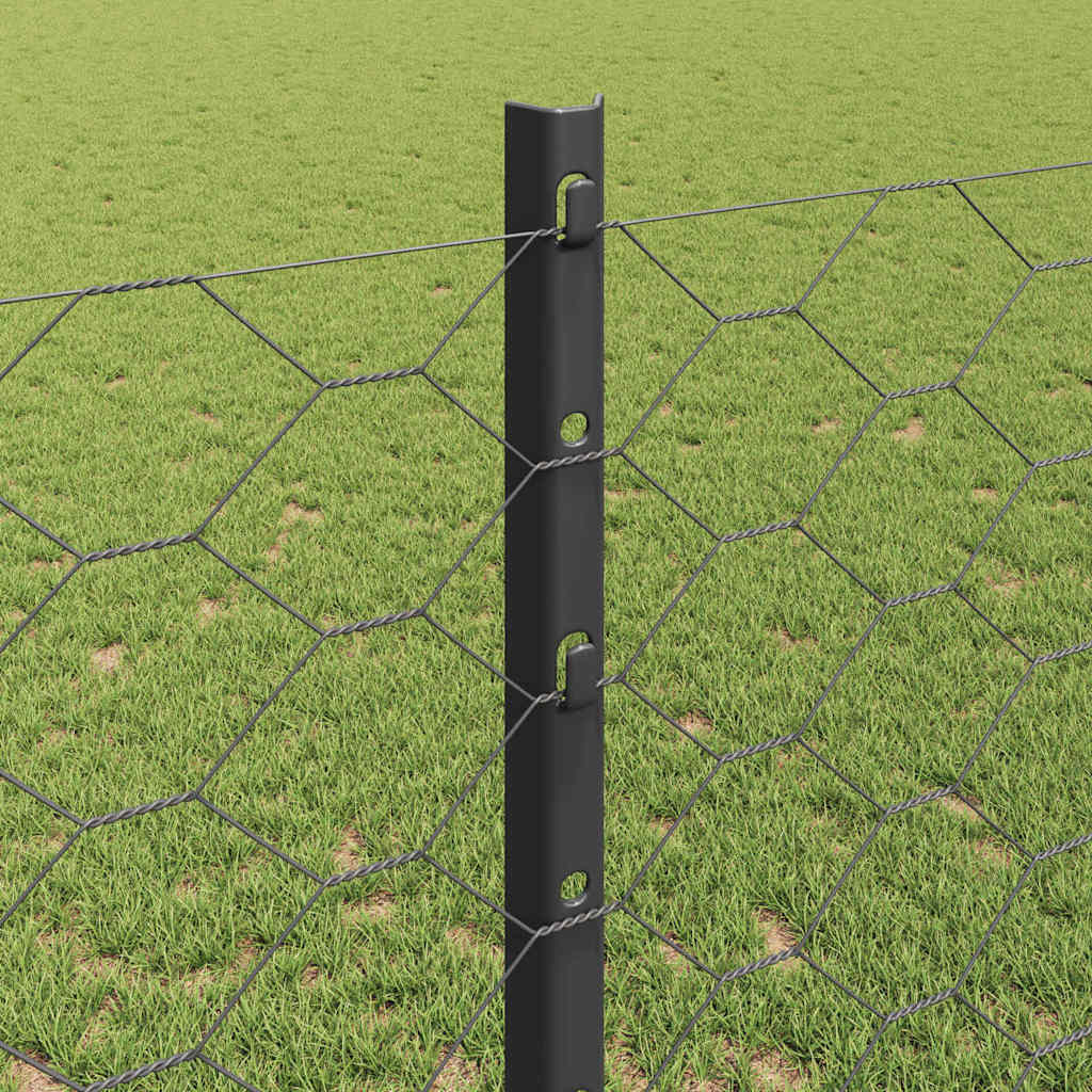 Hek met Paal Grijs 1,2 x 10 m Staal en PVC