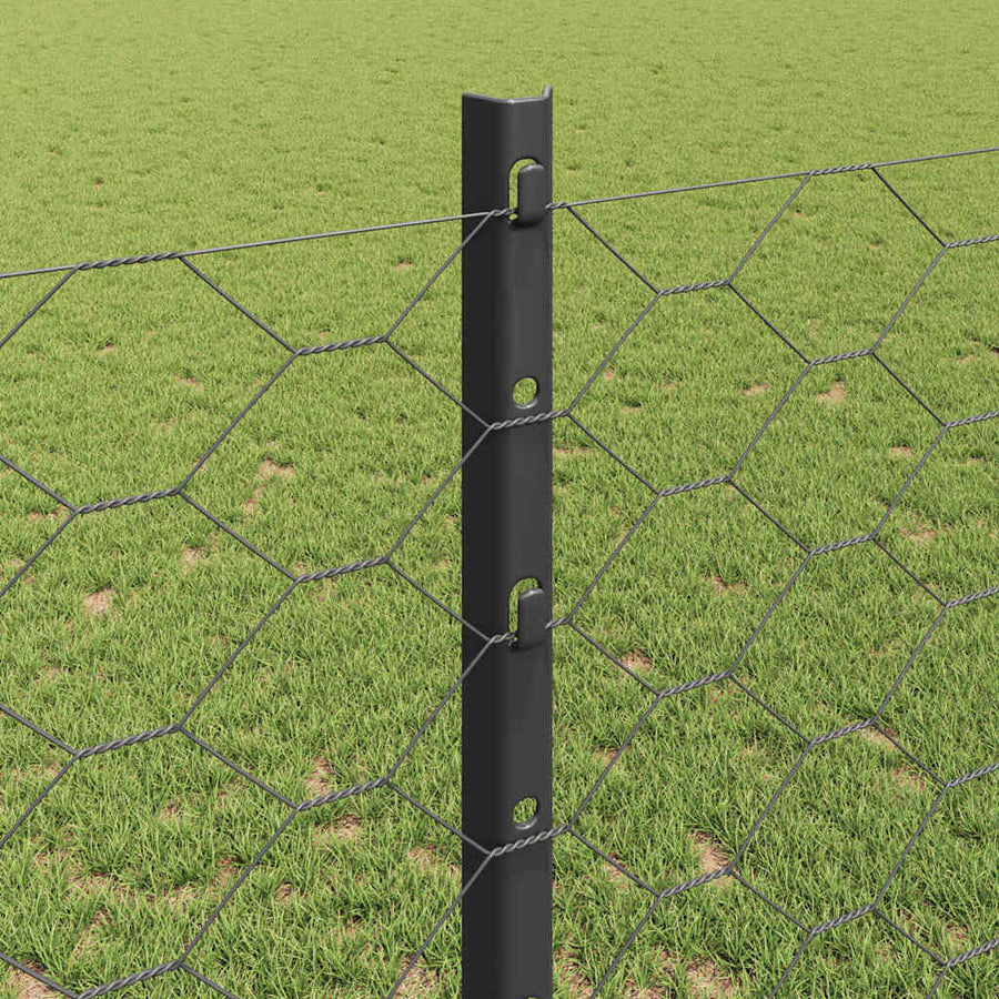 Hek met Paal Grijs 1,2 x 10 m Staal en PVC