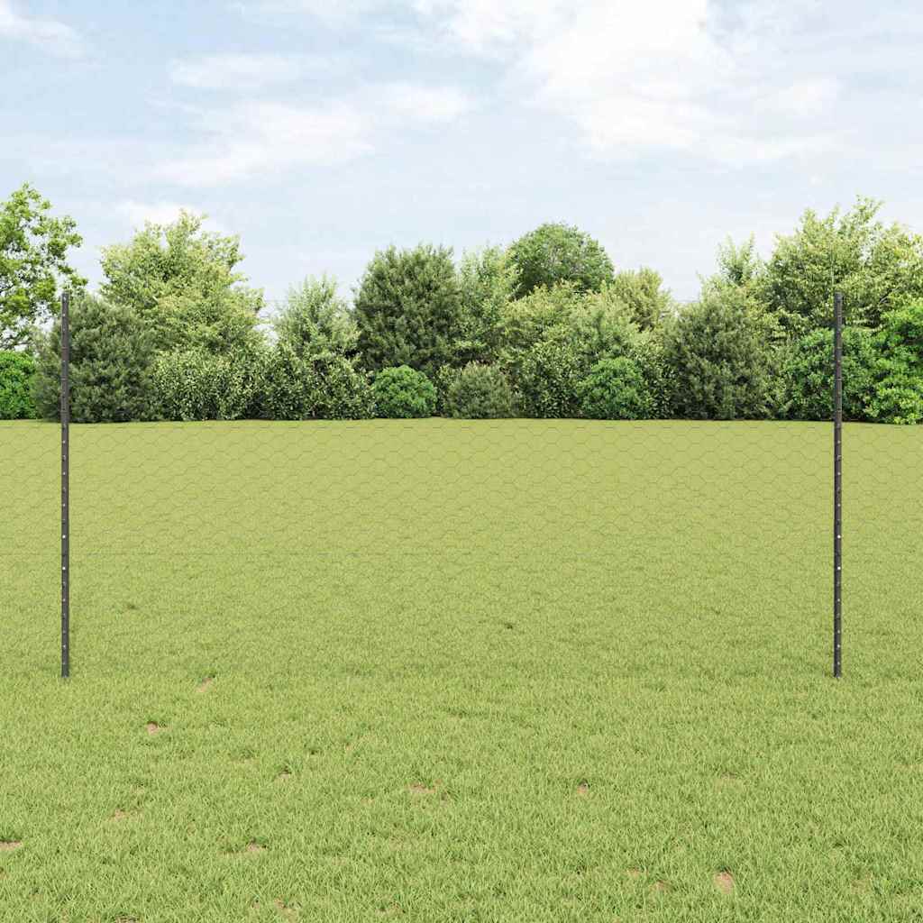 Hek met Paal Grijs 1,2 x 10 m Staal en PVC