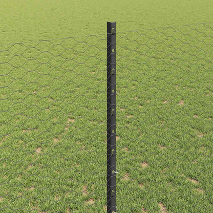 Hek met Paal Grijs 1,4 x 10 m Staal en PVC