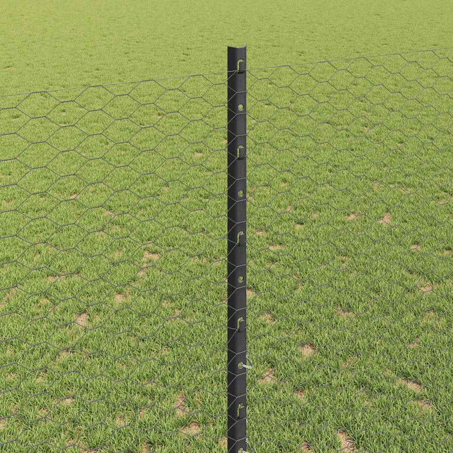 Hek met Paal Grijs 1,4 x 10 m Staal en PVC