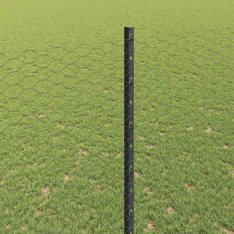 Hek met Paal Grijs 1,6 x 10 m Staal en PVC