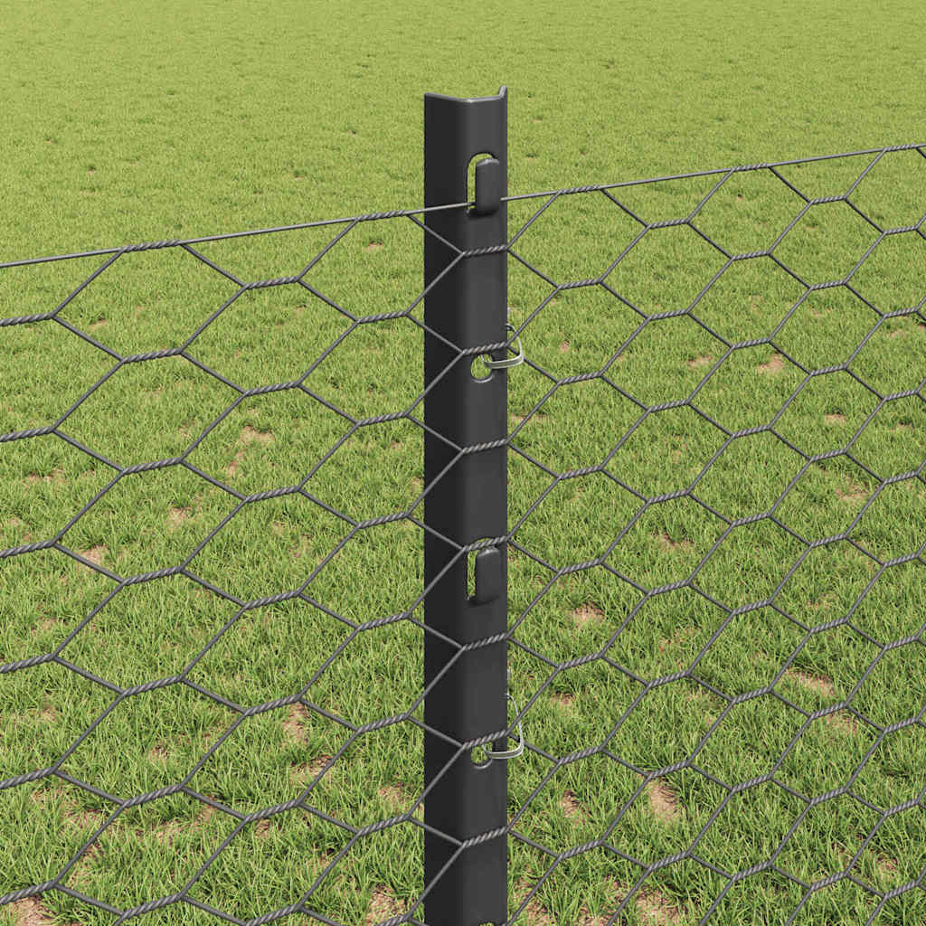 Hek met Paal Grijs 1,2 x 25 m Staal