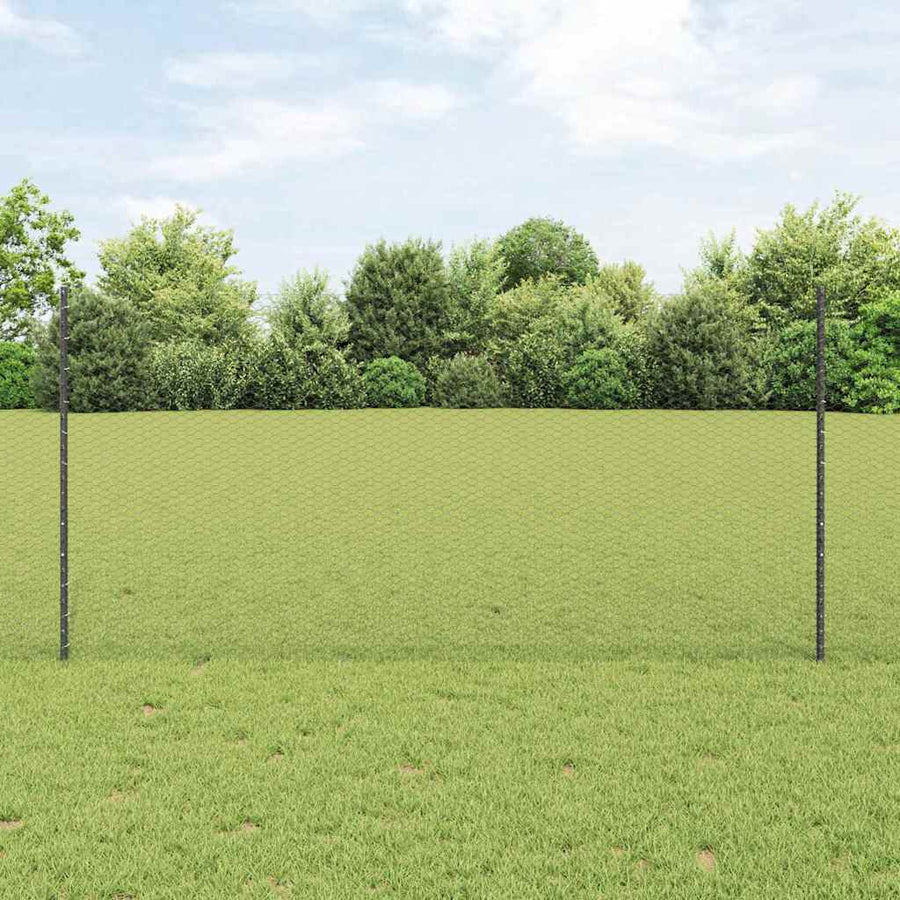 Hek met Paal Grijs 1,2 x 25 m Staal