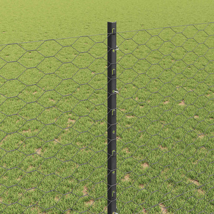Hek met Paal Grijs 1,4 x 25 m Staal