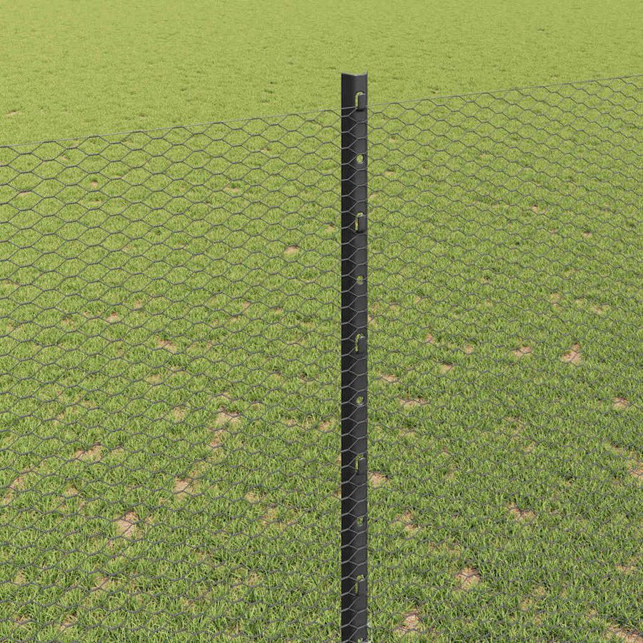 Hek met Paal Grijs 1,6 x 25 m Staal en PVC