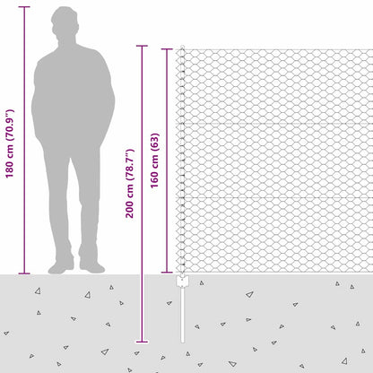 Hek met Paal Grijs 1,6 x 25 m Staal en PVC