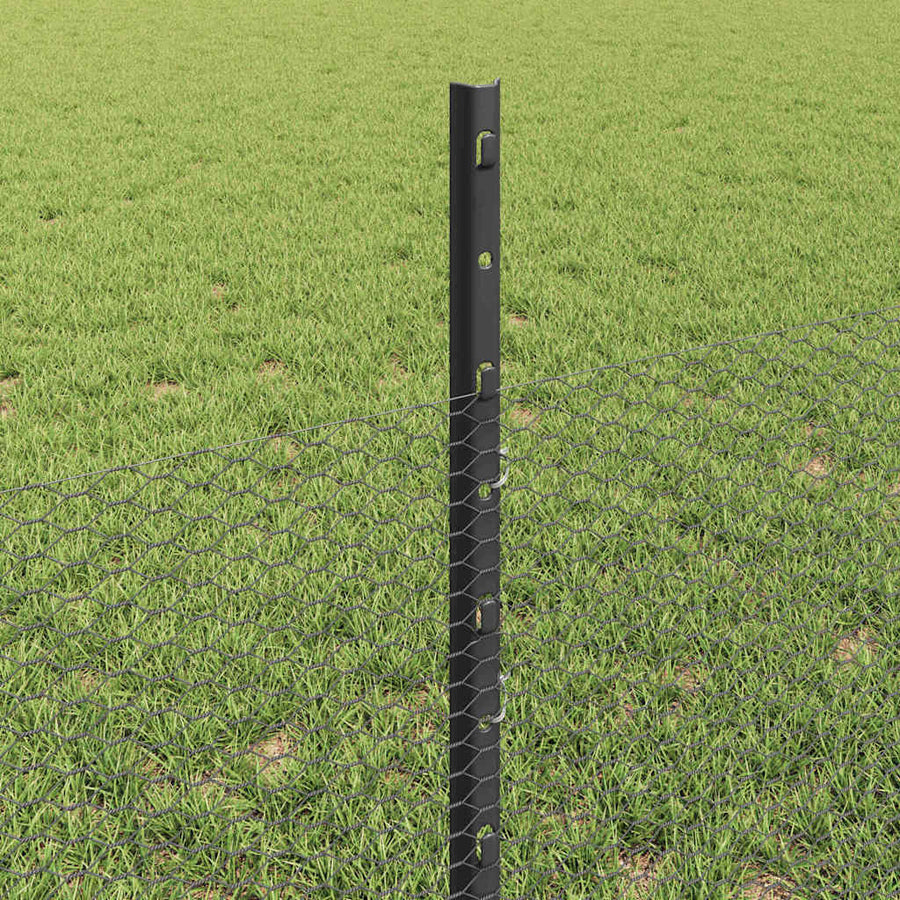 Hek met Paal Grijs 0,5 x 50 m Staal en PVC