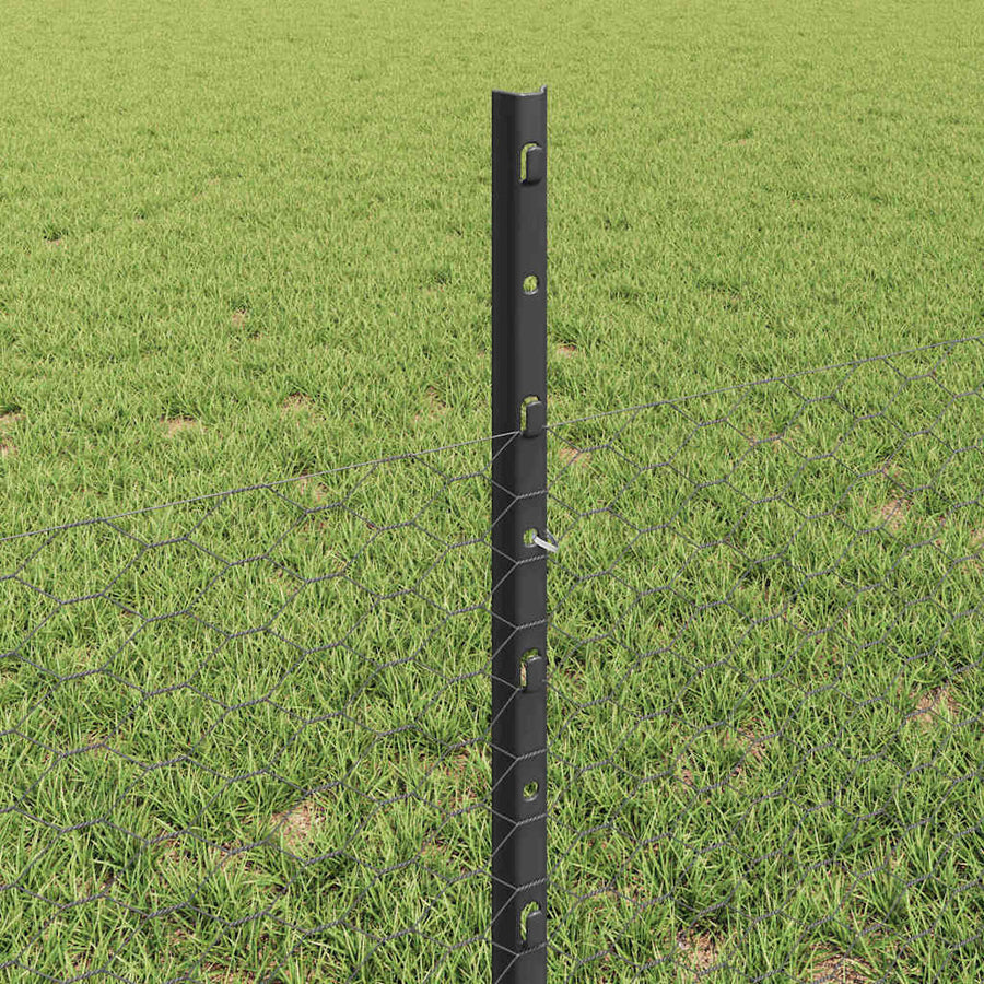 Hek met Paal Grijs 0,5 x 50 m Staal en PVC