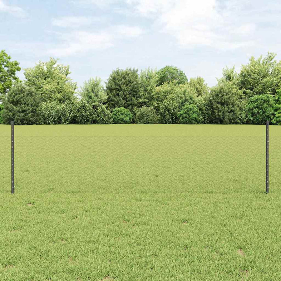 Hek met Paal Grijs 0,5 x 50 m Staal en PVC
