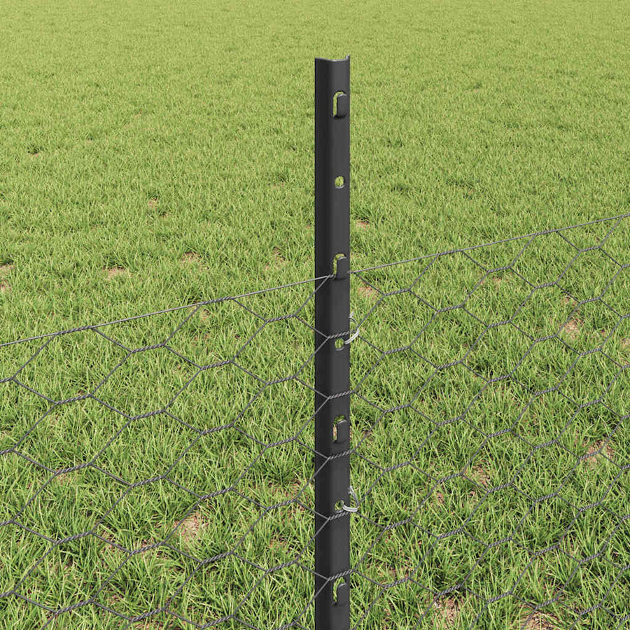 Hek met Paal Grijs 0,5 x 50 m Staal en PVC