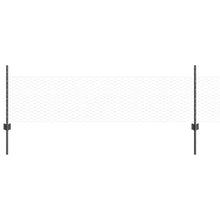 Hek met Paal Grijs 0,5 x 50 m Staal en PVC