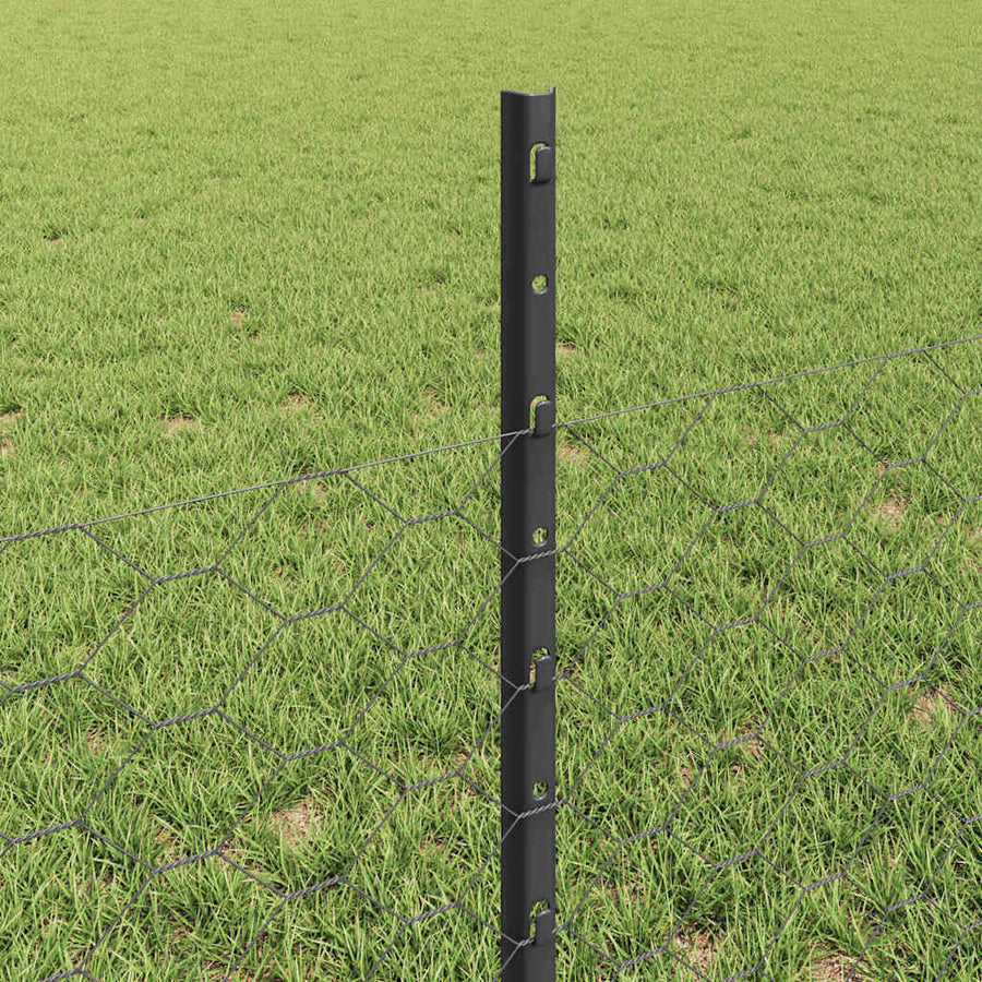 Hek met Paal Grijs 0,5 x 50 m Staal en PVC