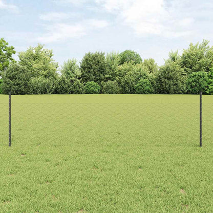 Hek met Paal Grijs 0,5 x 50 m Staal en PVC
