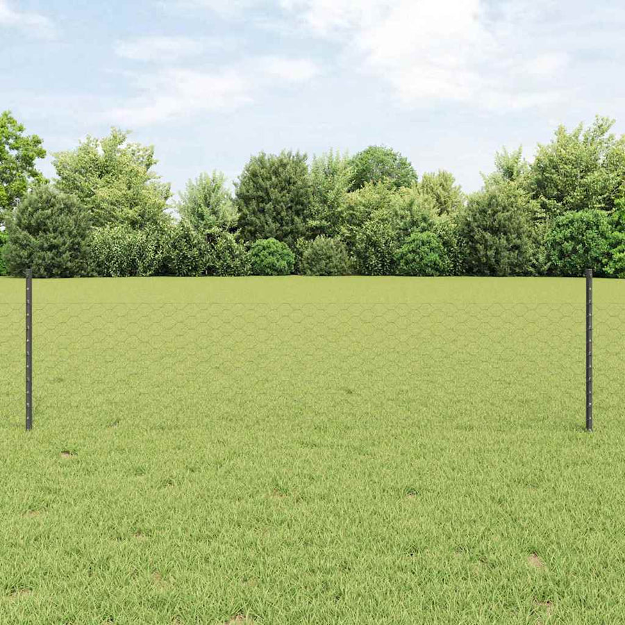 Hek met Paal Grijs 0,5 x 50 m Staal en PVC