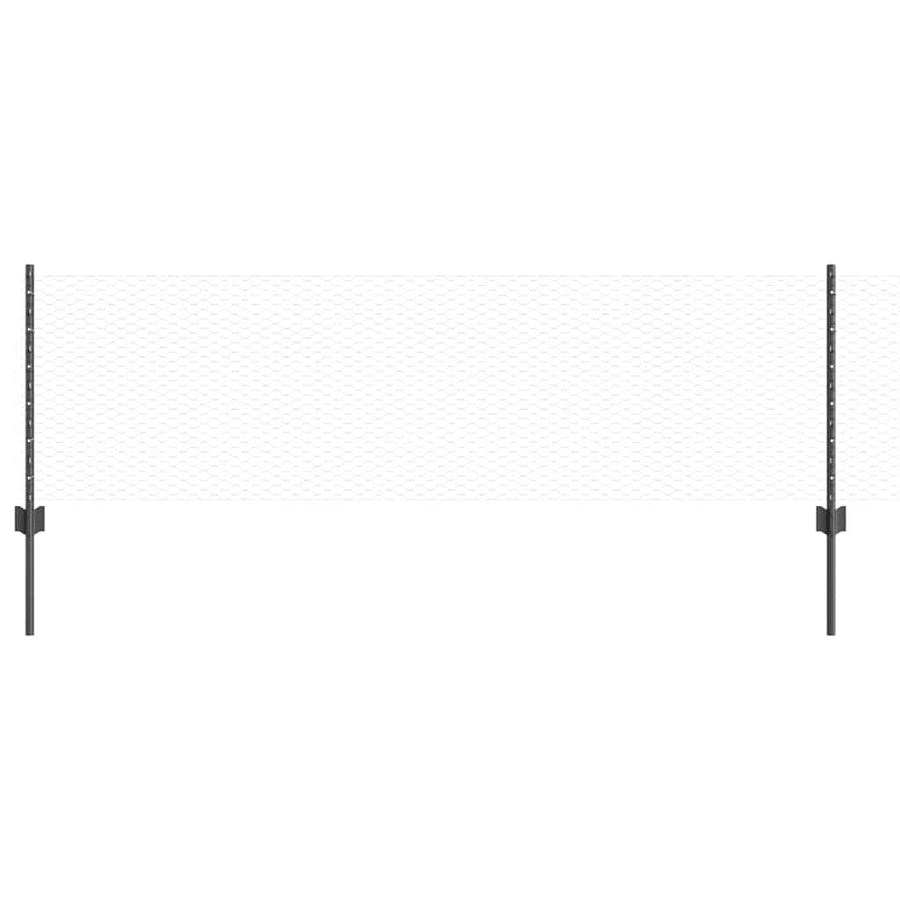 Hek met Paal Grijs 0,6 x 50 m Staal en PVC