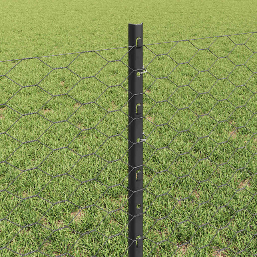 Hek met Paal Grijs 0,6 x 50 m Staal en PVC