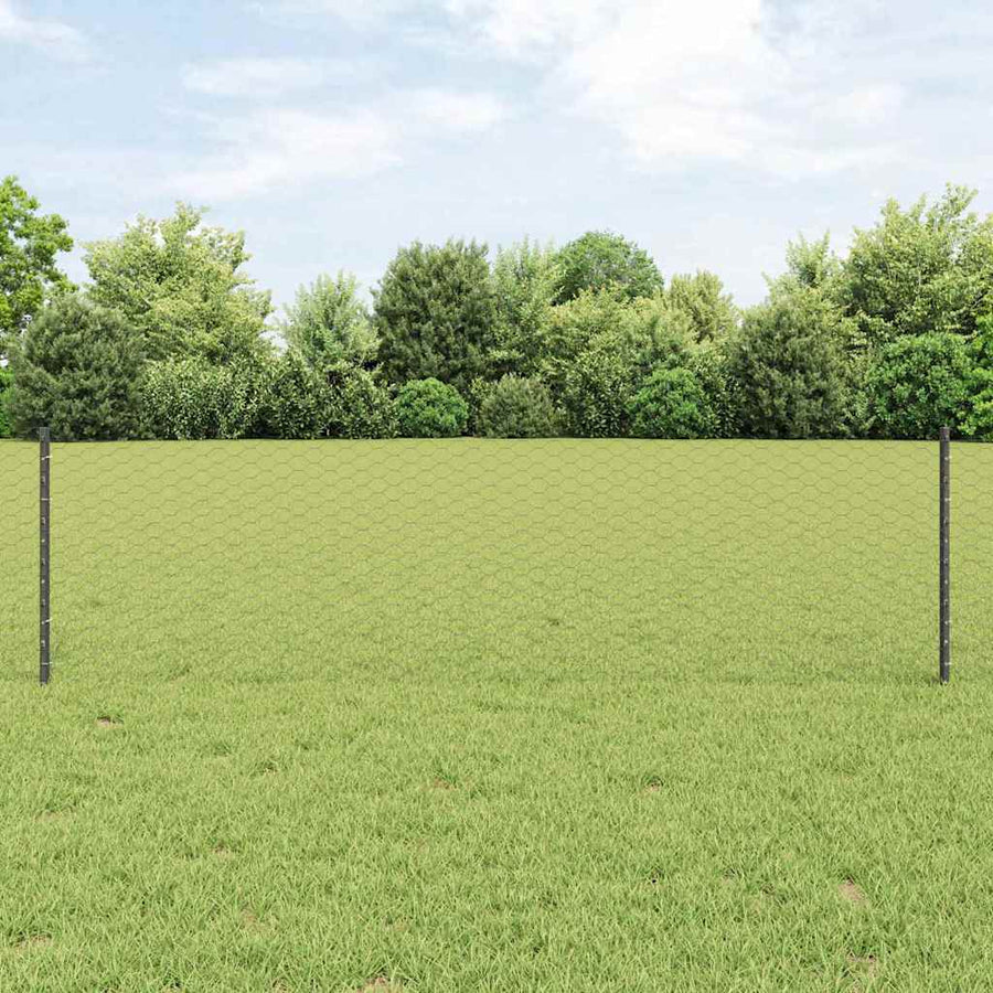 Hek met Paal Grijs 0,6 x 50 m Staal en PVC