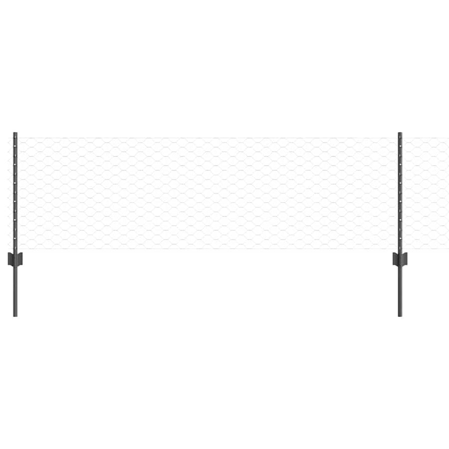 Hek met Paal Grijs 0,6 x 50 m Staal en PVC
