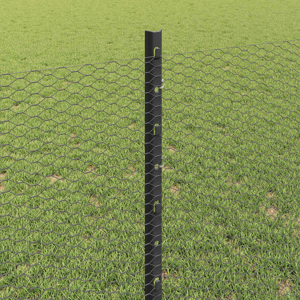 Hek met Paal Grijs 0,8 x 50 m Staal en PVC