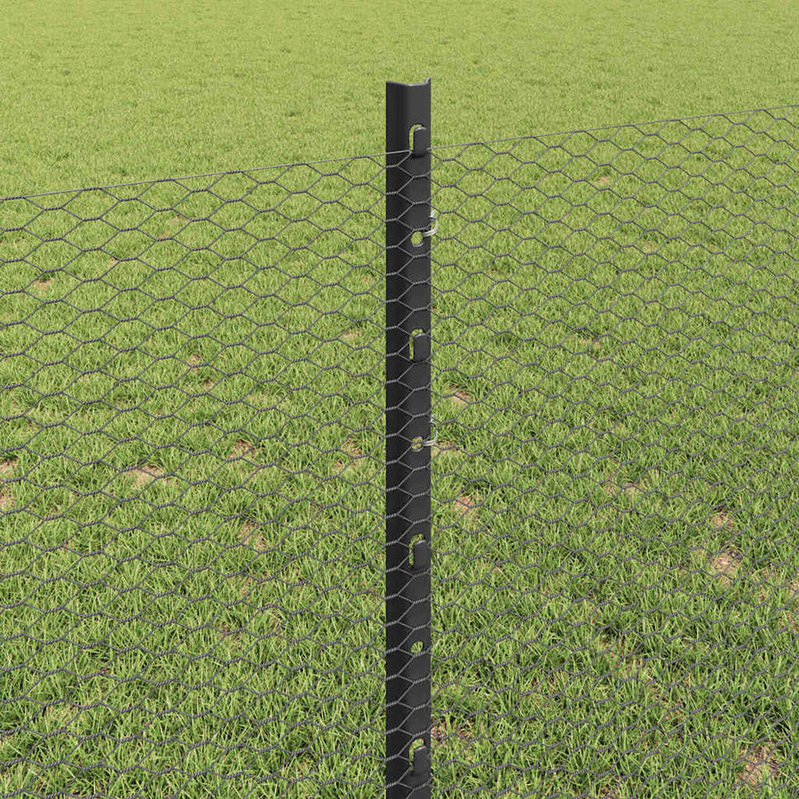 Hek met Paal Grijs 0,8 x 50 m Staal en PVC