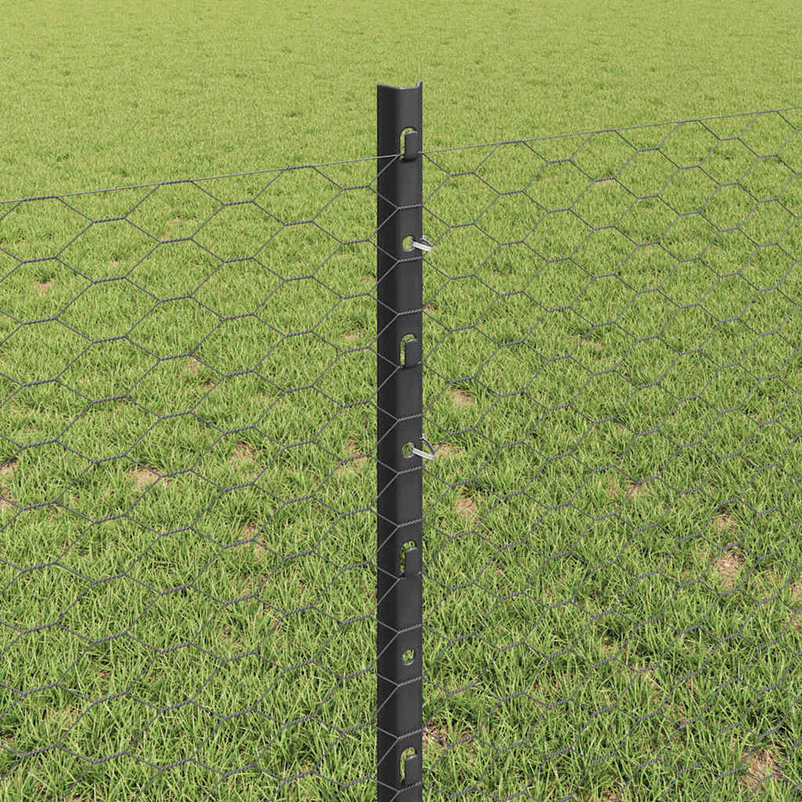 Hek met Paal Grijs 0,8 x 50 m Staal en PVC