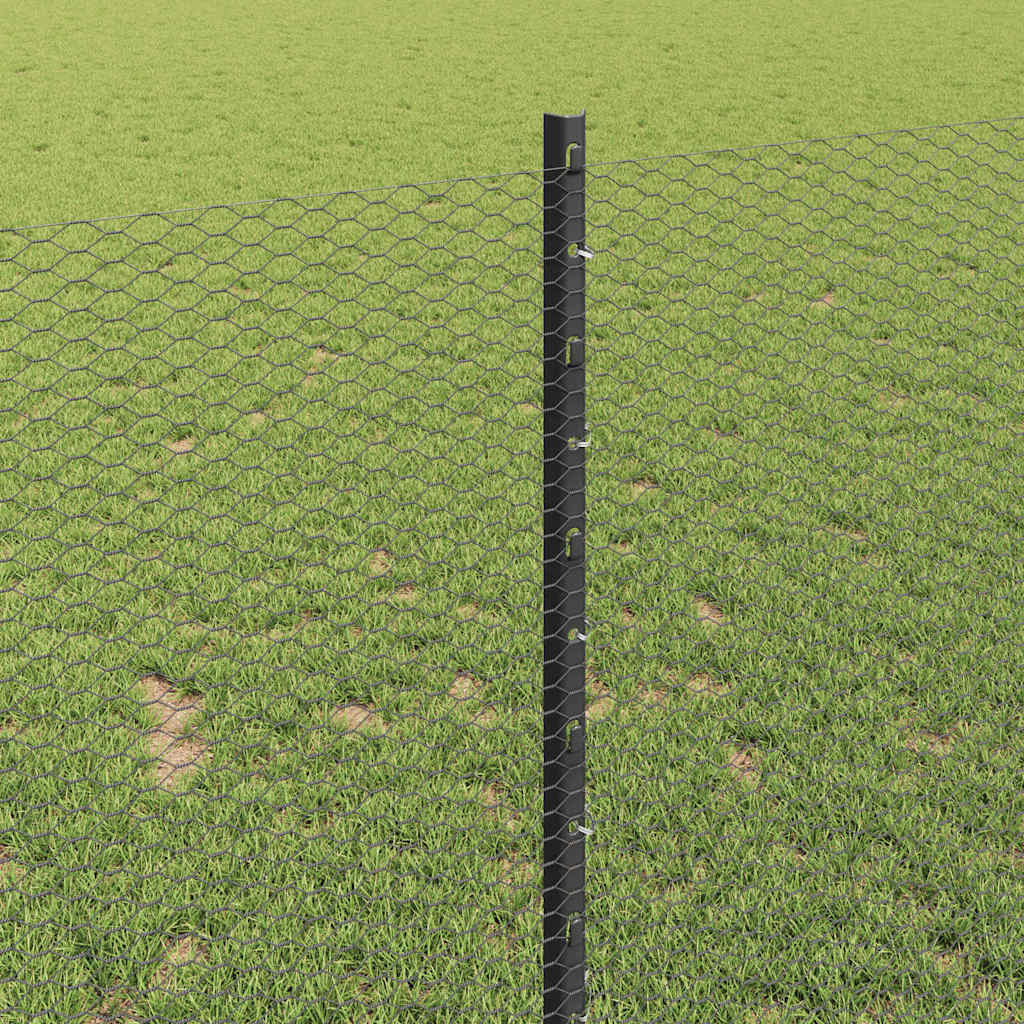 Hek met Paal Grijs 1 x 50 m Staal en PVC