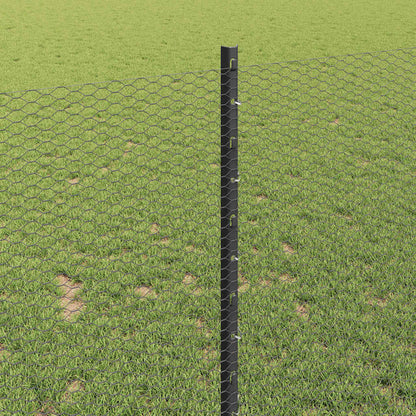 Hek met Paal Grijs 1 x 50 m Staal en PVC