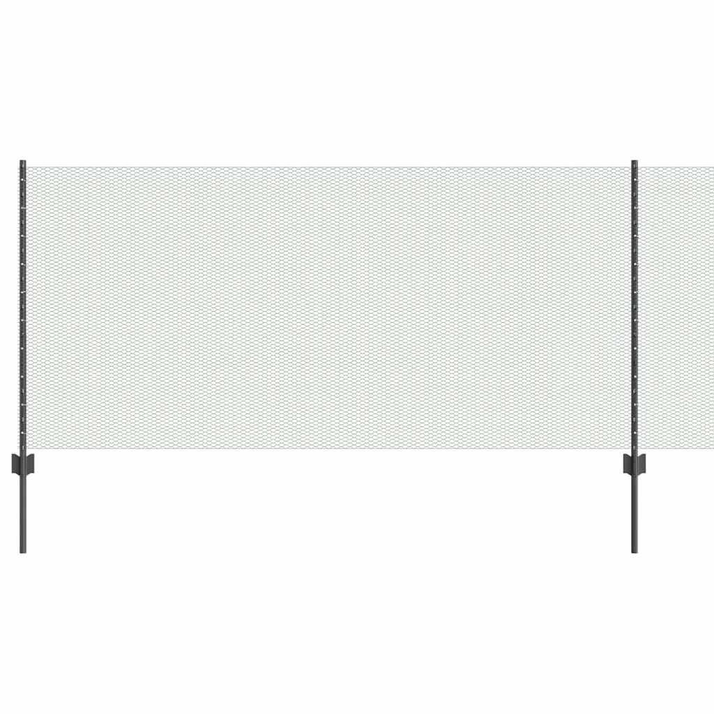 Hek met Paal Grijs 1 x 50 m Staal en PVC