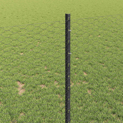 Hek met Paal Grijs 1 x 50 m Staal en PVC