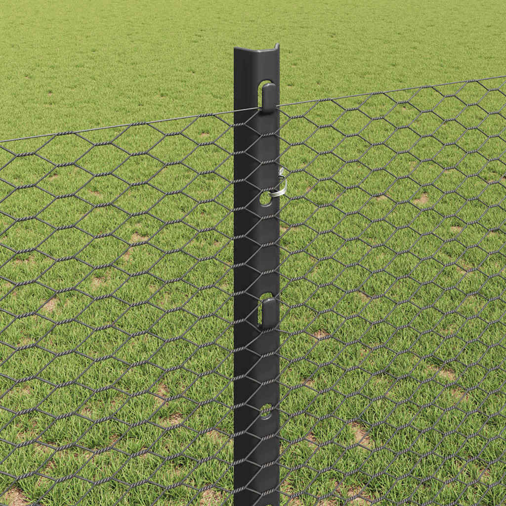 Hek met Paal Grijs 1,2 x 50 m Staal en PVC