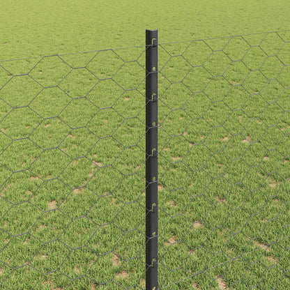 Hek met Paal Grijs 1,4 x 50 m Staal en PVC