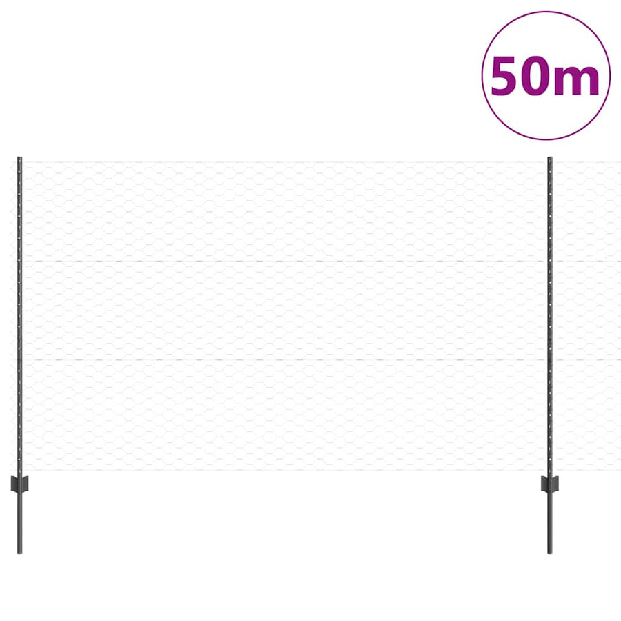 Hek met Paal Grijs 1,4 x 50 m Staal en PVC