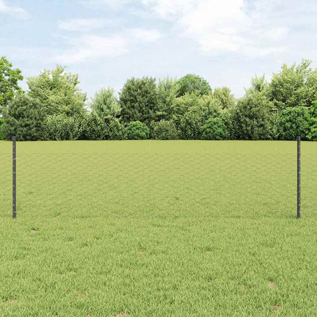 Hek Met Paal 0,5 X 100 M Staal En Pvc Grijs 100 x 0,5 m hek (3,6 cm breed gaas)