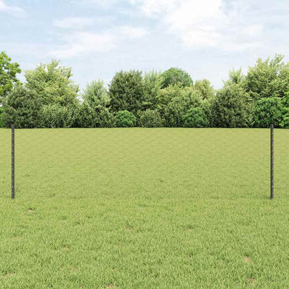 Hek Met Paal 0,6 X 100 M Staal En Pvc Grijs 100 x 0,6 m hek (5 cm breed gaas)