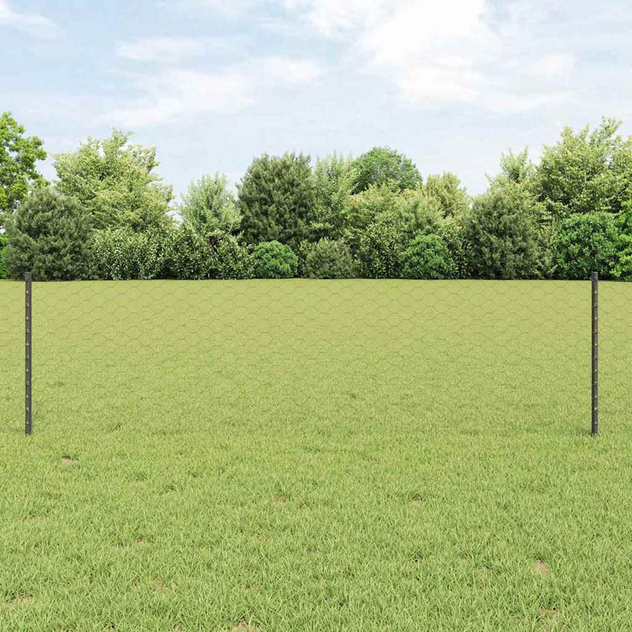Hek Met Paal 0,6 X 100 M Staal En Pvc Grijs 100 x 0,6 m hek (5 cm breed gaas)