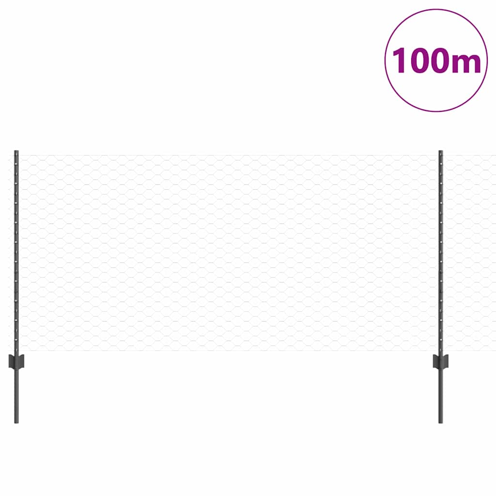 Hek met Paal Grijs 1 x 100 m Staal en PVC