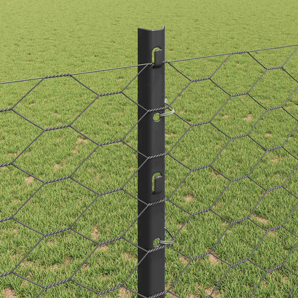 Hek met Paal Grijs 1,2 x 100 m Staal en PVC