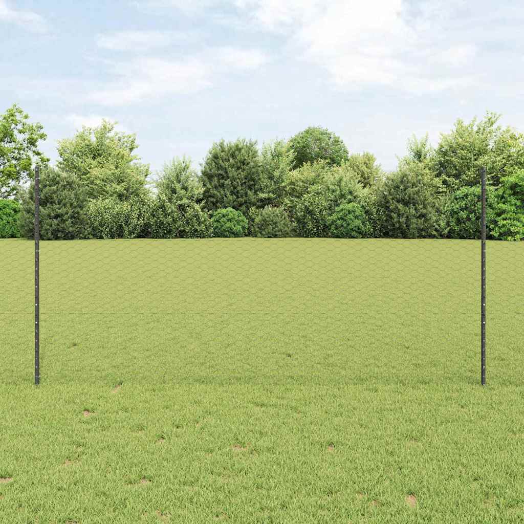 Hek met Paal Grijs 1,2 x 100 m Staal en PVC