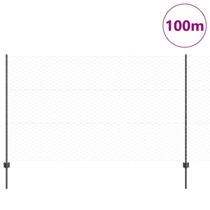 Hek met Paal Grijs 1,4 x 100 m Staal en PVC