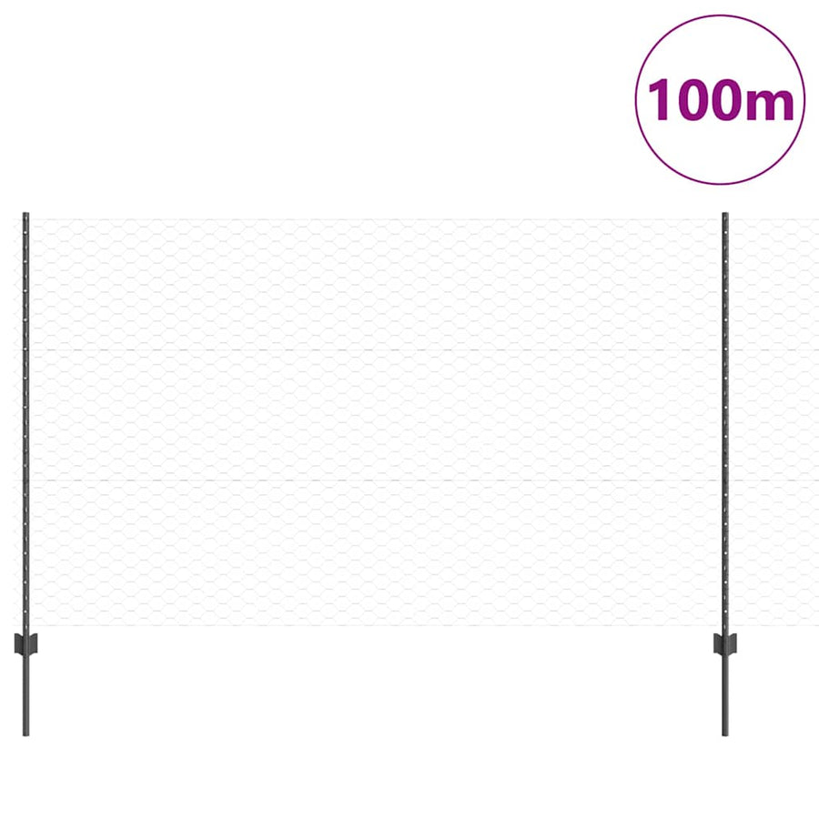 Hek met Paal Grijs 1,4 x 100 m Staal en PVC