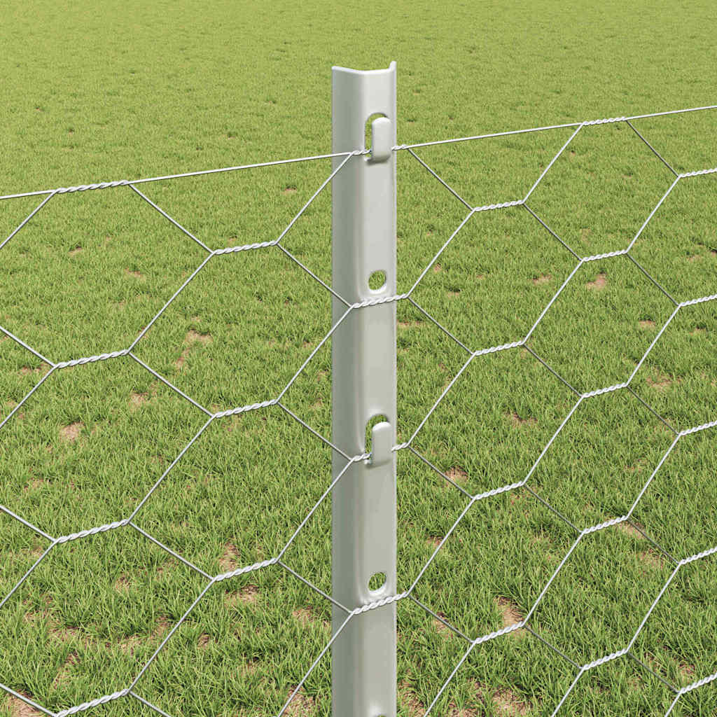 Hek met Paal Zilver 1,2 x 10 m Staal
