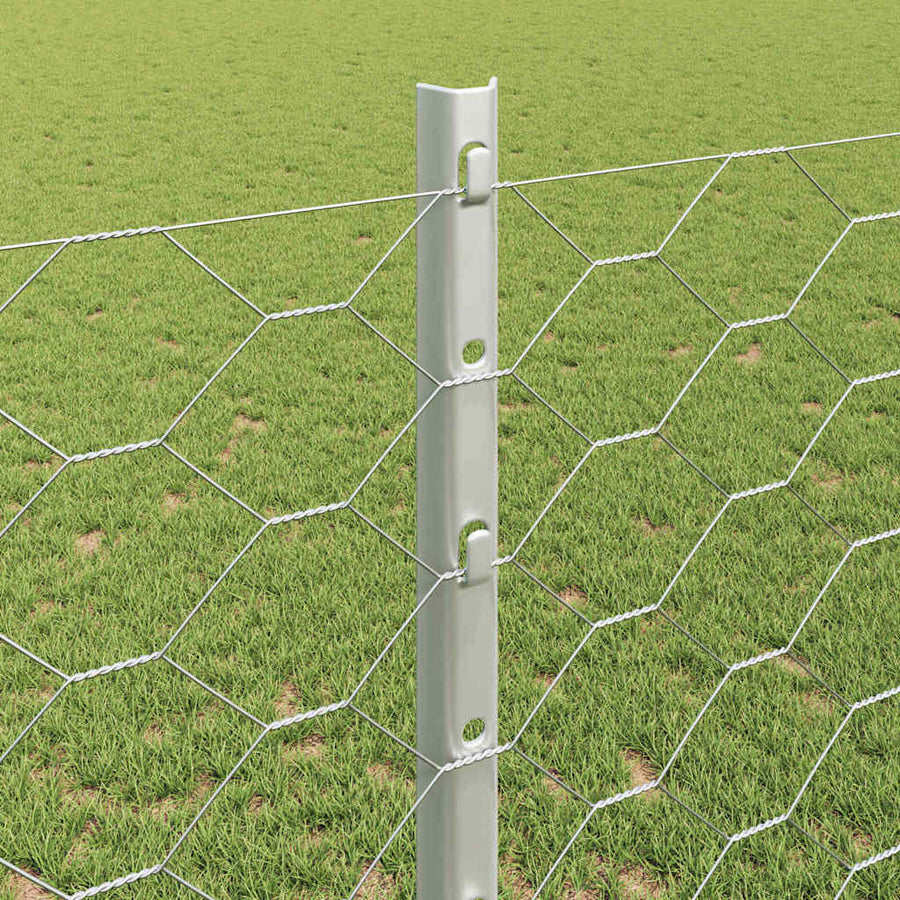 Hek met Paal Zilver 1,2 x 10 m Staal