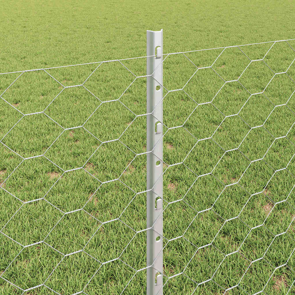 Hek met Paal Zilver 0,8 x 50 m Staal