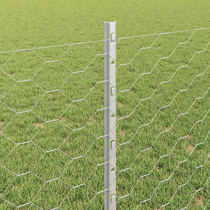 Hek met Paal Zilver 0,8 x 50 m Staal