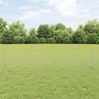 Fence with Post Silver 0.4 x 100 m Steel