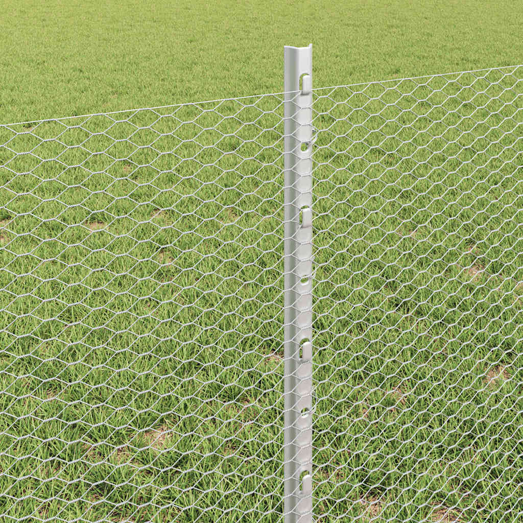Hek Met Paal Zilver 0,6 X 100 M Staal Gegalvaniseerd Staal 100 x 0,6 m hek (1,3 cm breedte gaas)