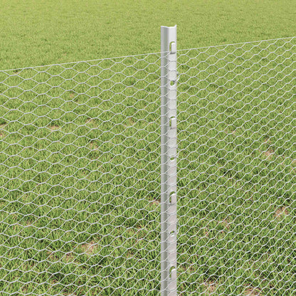 Hek Met Paal Zilver 0,6 X 100 M Staal Gegalvaniseerd Staal 100 x 0,6 m hek (1,3 cm breedte gaas)