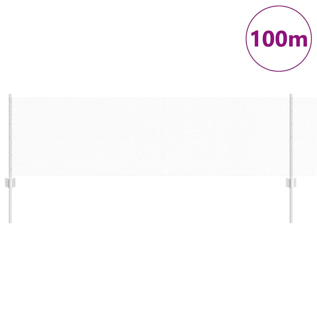 Hek Met Paal Zilver 0,6 X 100 M Staal Gegalvaniseerd Staal 100 x 0,6 m hek (1,3 cm breedte gaas)