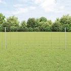 Hekwerk met paal 250x80 cm staal zilver